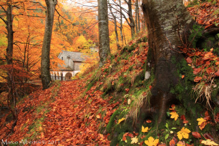 AUTUNNO ALLA MADONNA DEL FAGGIO  DOMENICA 12 OTTOBRE