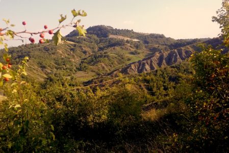 stanno arrivando i GIOVEDÌ TRANSUMANTIogni due giovedì del mese