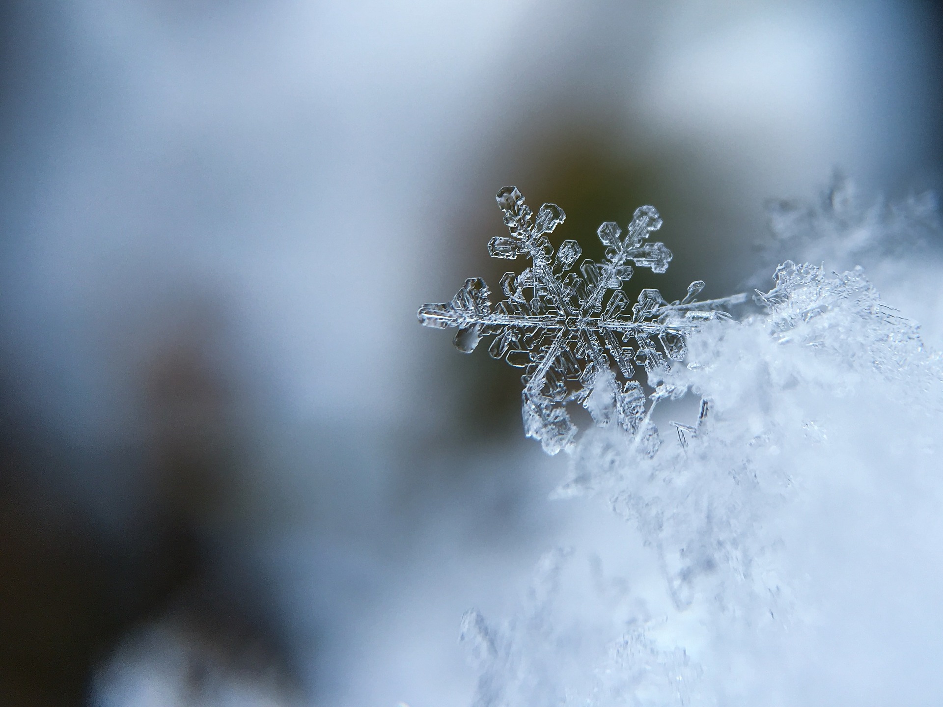 LA NEVE DEL CORNO ALLE SCALE