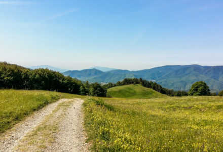 VIA DEGLI DEI<br />DA MARTEDÌ 20 A DOMENICA 25 GIUGNO
