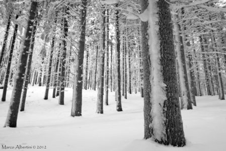 LA MAGIA DELLA NEVE