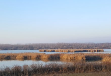 FRA TERRA E ACQUA: ESCURSIONE NELLE VALLI DI COMACCHIO <br/> SABATO 7 GIUGNO