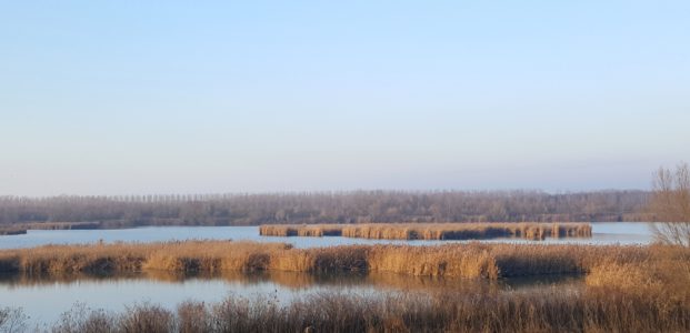 FRA TERRA E ACQUA: ESCURSIONE NELLE VALLI DI COMACCHIO  SABATO 7 GIUGNO