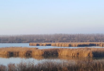 FRA TERRA E ACQUA: ESCURSIONE NELLE VALLI DI COMACCHIO <br/> SABATO 7 GIUGNO