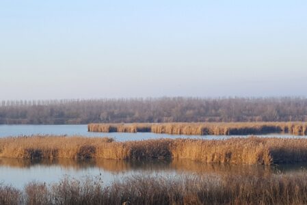 FRA TERRA E ACQUA: ESCURSIONE NELLE VALLI DI COMACCHIO  SABATO 7 GIUGNO