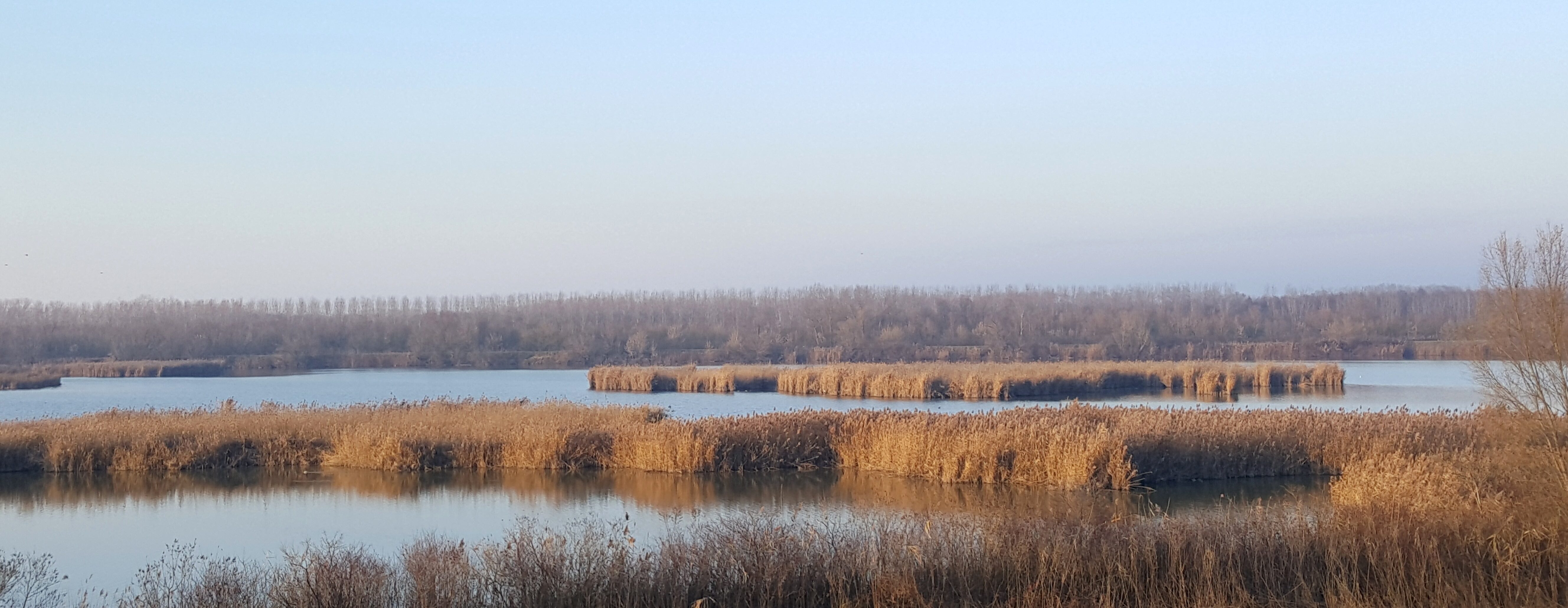 FRA TERRA E ACQUA: ESCURSIONE NELLE VALLI DI COMACCHIO  SABATO 7 GIUGNO