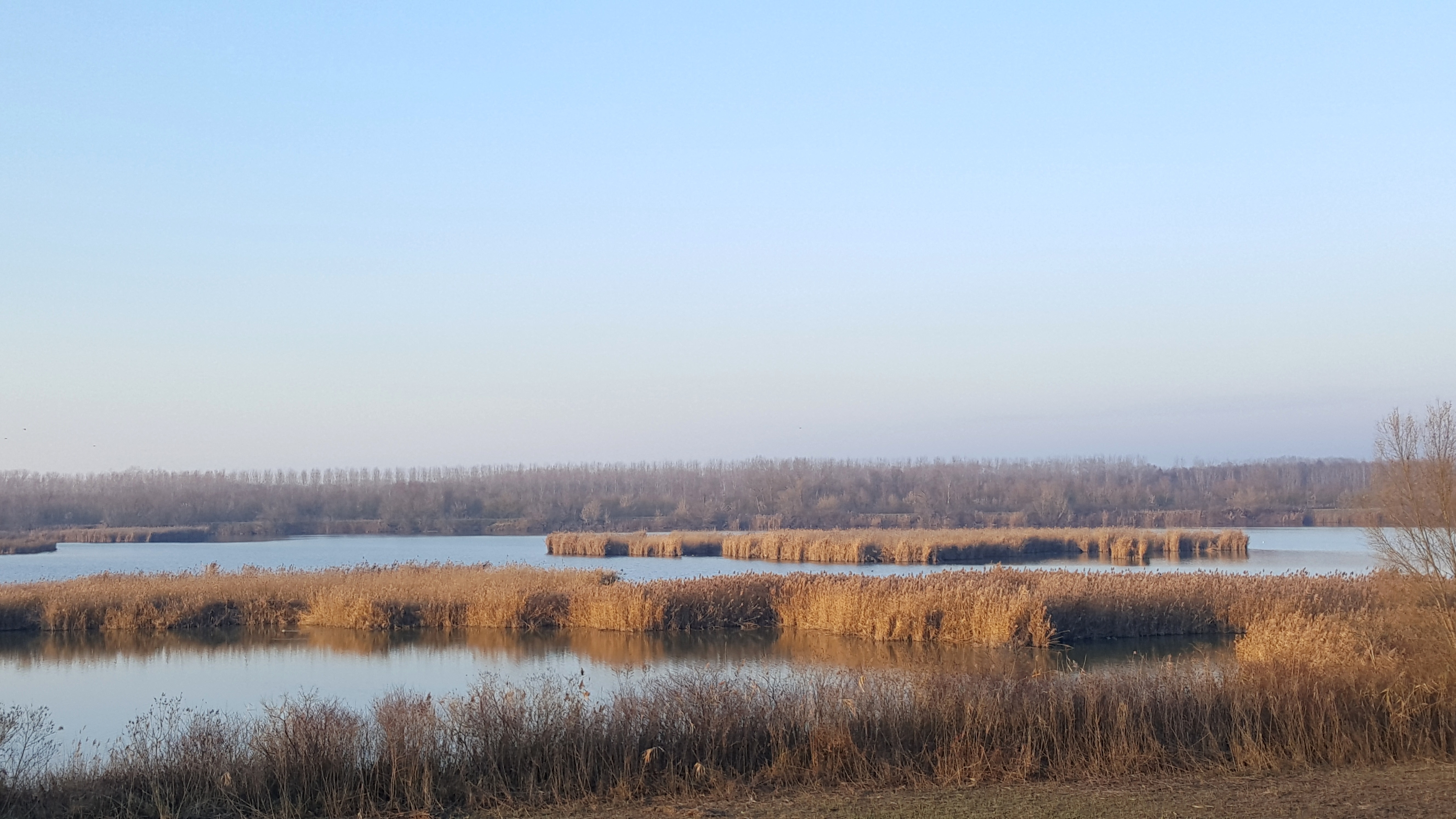 FRA TERRA E ACQUA: ESCURSIONE NELLE VALLI DI COMACCHIO  SABATO 7 GIUGNO