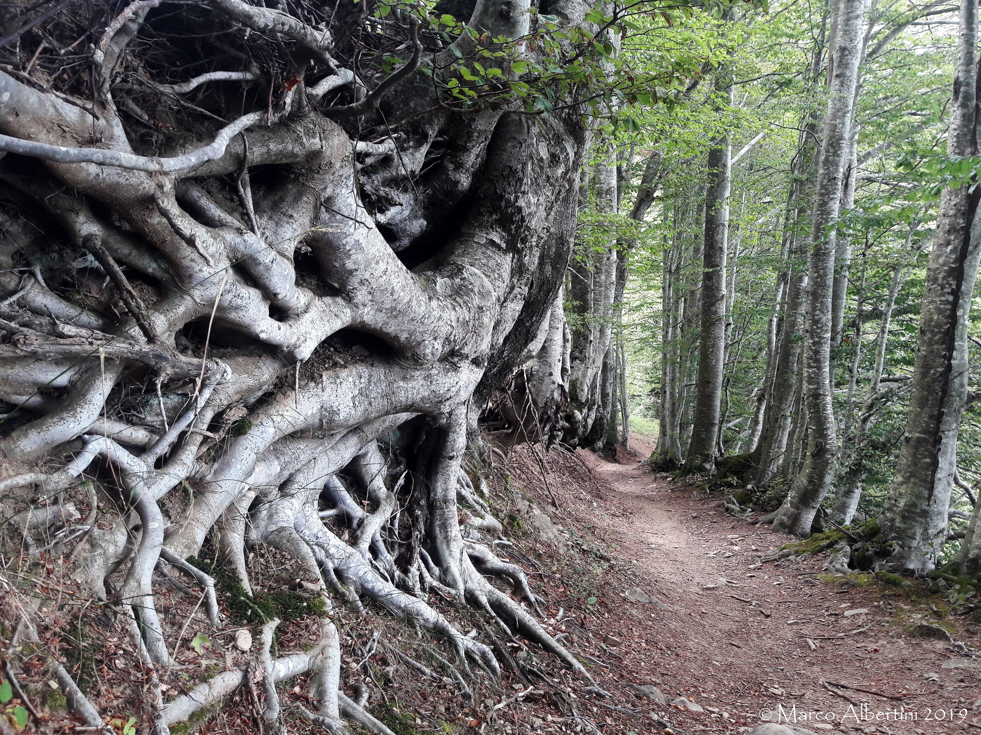 STORIE SUL MONTE  DOMENICA 13 LUGLIO