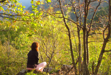 BOSCO<br />IMMERSIONE NEL BOSCO A SEGAVECCHIA<br />DOMENICA 18 GIUGNO