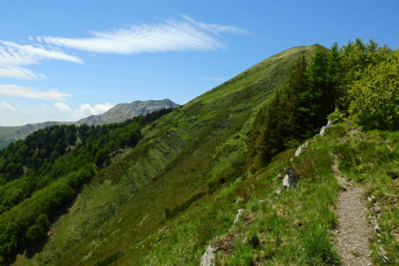CAMMINARE CON IL CUOREVENERDÌ 4 AGOSTO