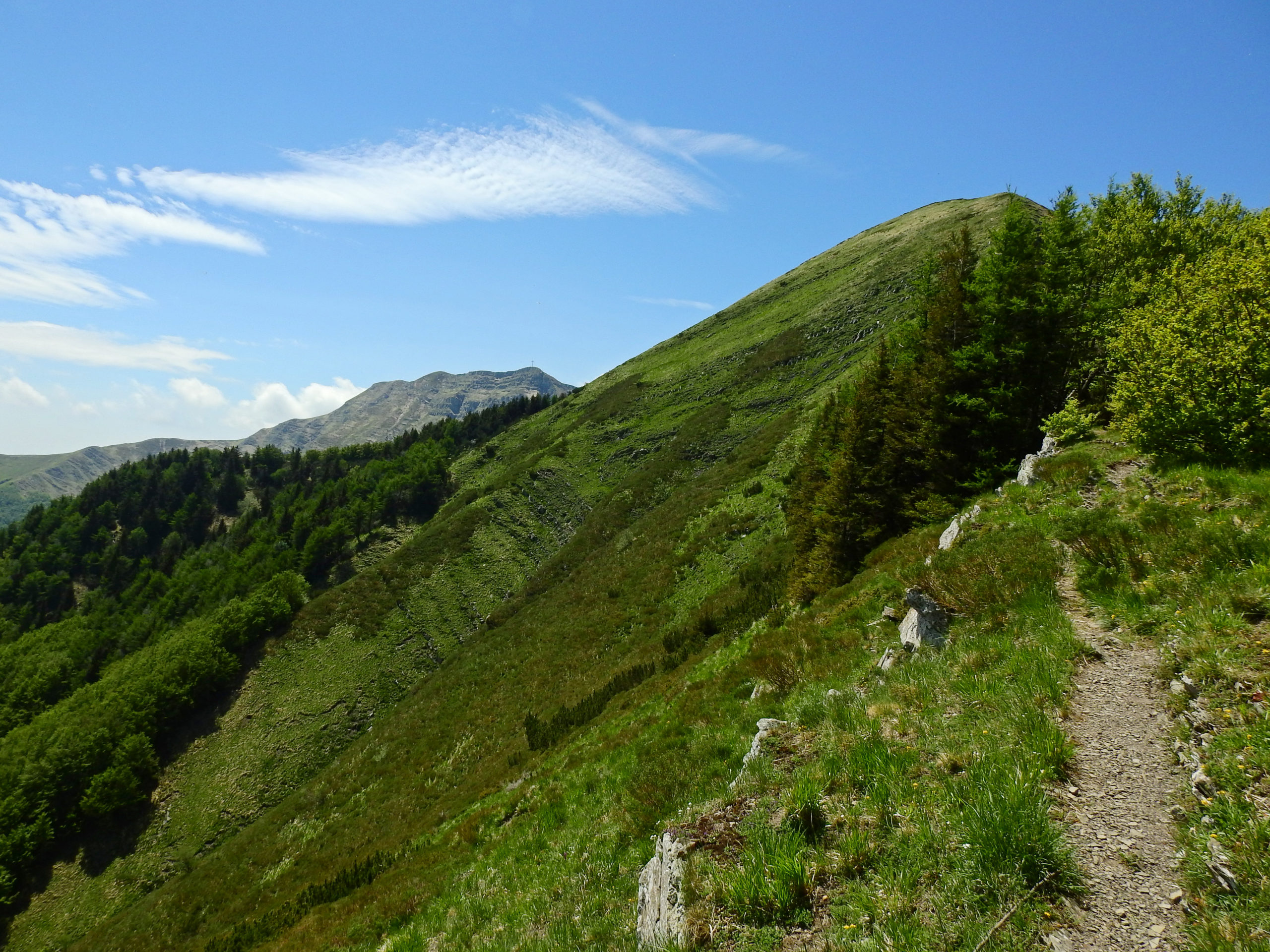 CAMMINARE CON IL CUOREVENERDÌ 4 AGOSTO
