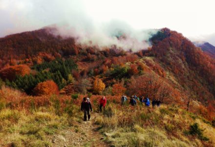 FOLIAGE AL PARCO DEI LAGHI  <br />DOMENICA 29 OTTOBRE
