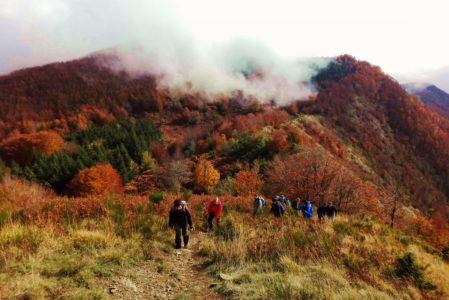 L’AUTUNNO NEI BOSCHI DEL BRASIMONE  DOMENICA 23 NOVEMBRE