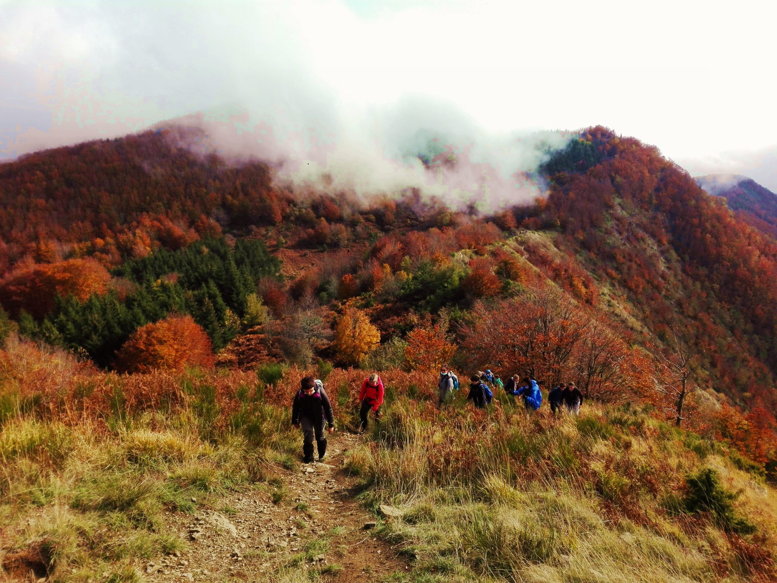 L’AUTUNNO NEI BOSCHI DEL BRASIMONE  DOMENICA 23 NOVEMBRE