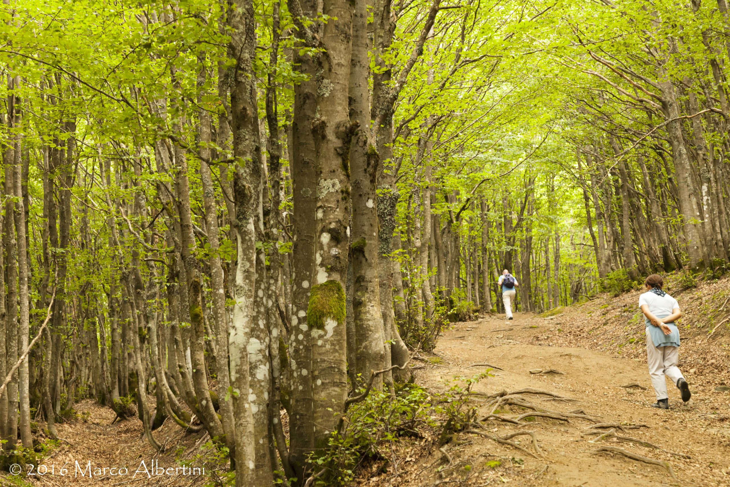 CAMMINARE TRA STORIA E NATURAVENERDÌ 18 AGOSTO