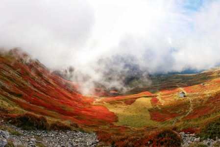 IL CUORE ROSSO DELL’APPENNINO  DOMENICA 28 SETTEMBRE