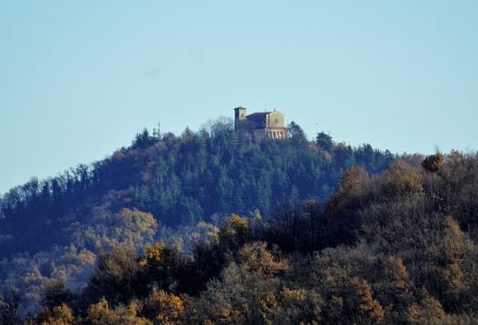 DOVE VOLANO LE FORMICHE <br/> SABATO 6 SETTEMBRE