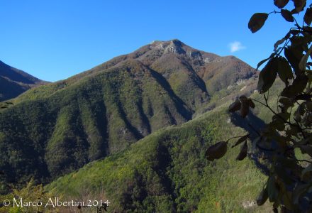 ANGELI IN CAMMINO<br />DOMENICA 16 LUGLIO