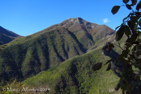 ANGELI IN CAMMINODOMENICA 16 LUGLIO