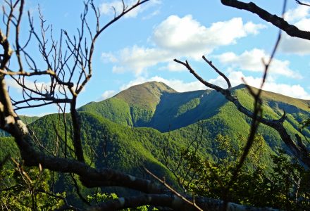 ESCURSIONE A MONTE PIZZO <br/> SABATO 31 MAGGIO