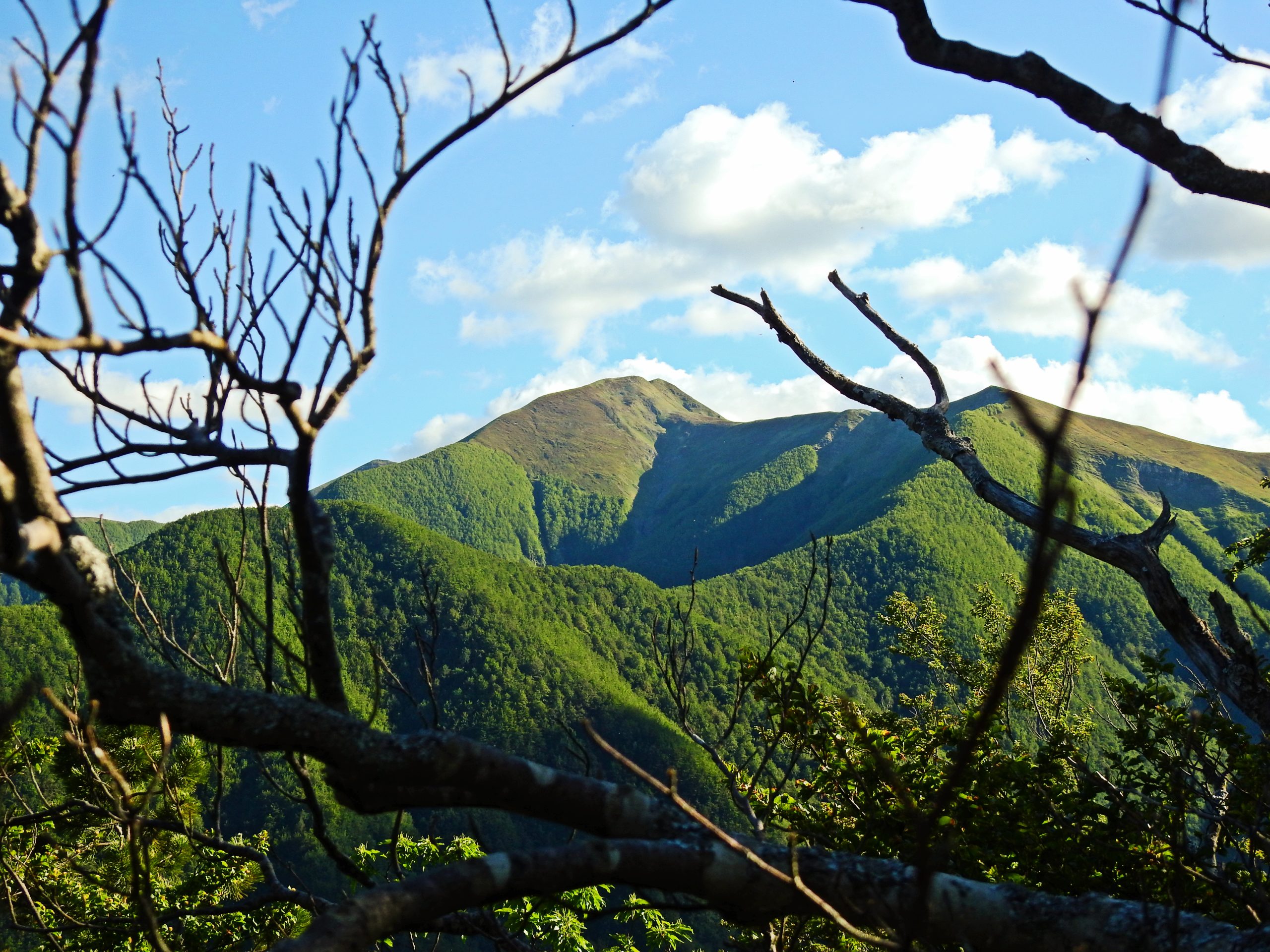 ESCURSIONE A MONTE PIZZO  SABATO 31 MAGGIO