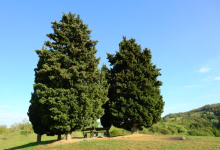DAI PRATI DI MUGNANO A MONTE MARIO<br />DOMENICA 16 APRILE