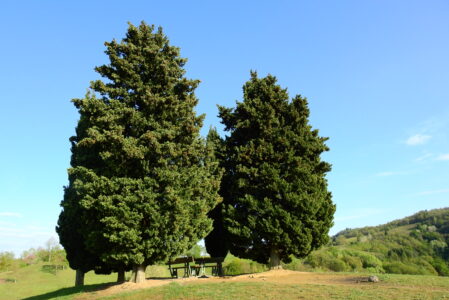 DAI PRATI DI MUGNANO A MONTE MARIODOMENICA 16 APRILE