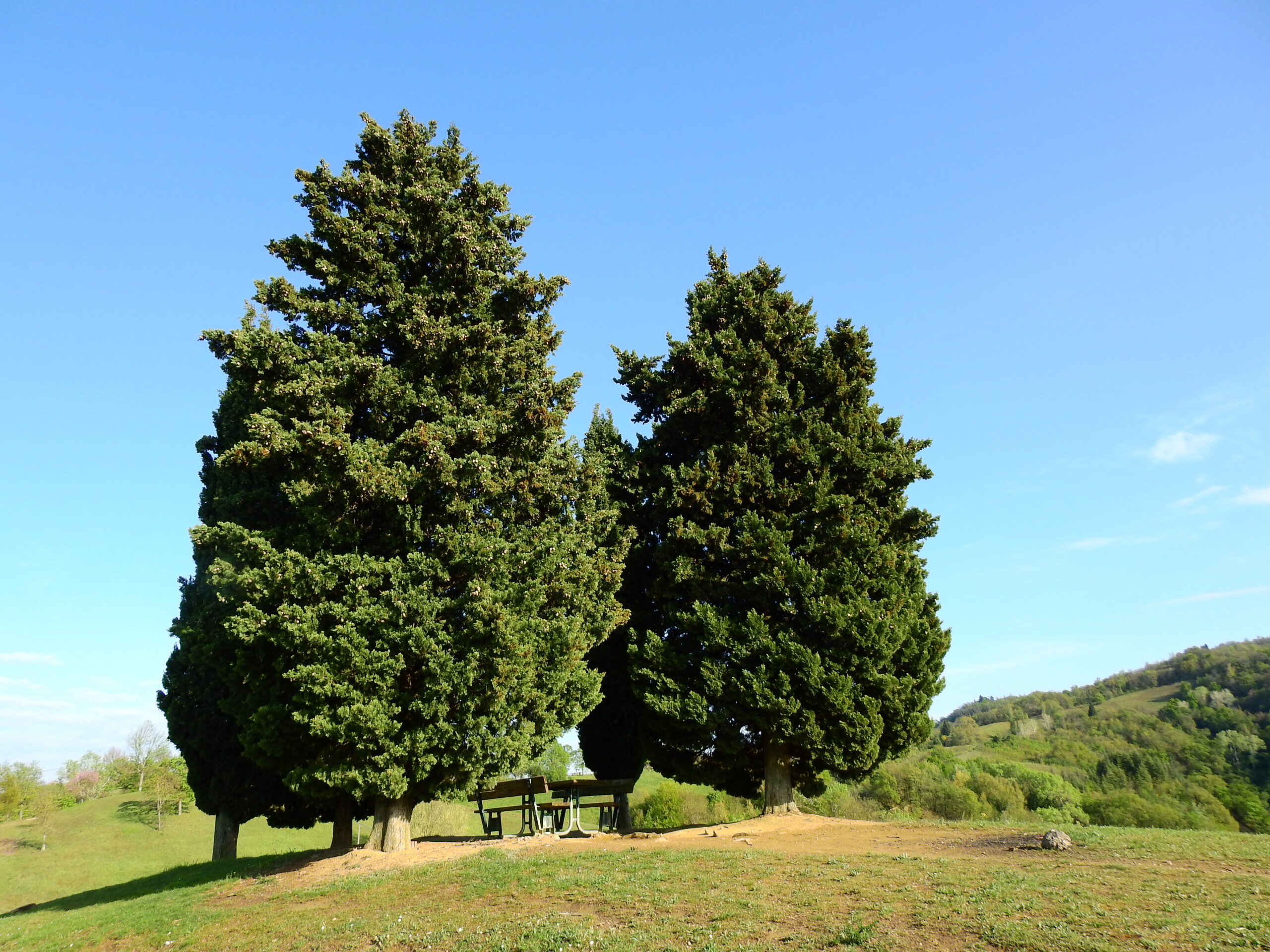 DAI PRATI DI MUGNANO A MONTE MARIODOMENICA 16 APRILE