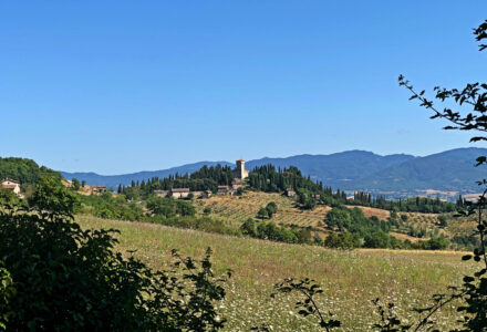 CAMMINANDO NELLE TERRE DEI MEDICI<br />SABATO 15 APRILE