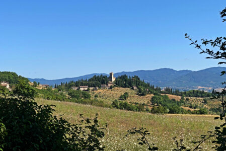 CAMMINANDO NELLE TERRE DEI MEDICISABATO 15 APRILE
