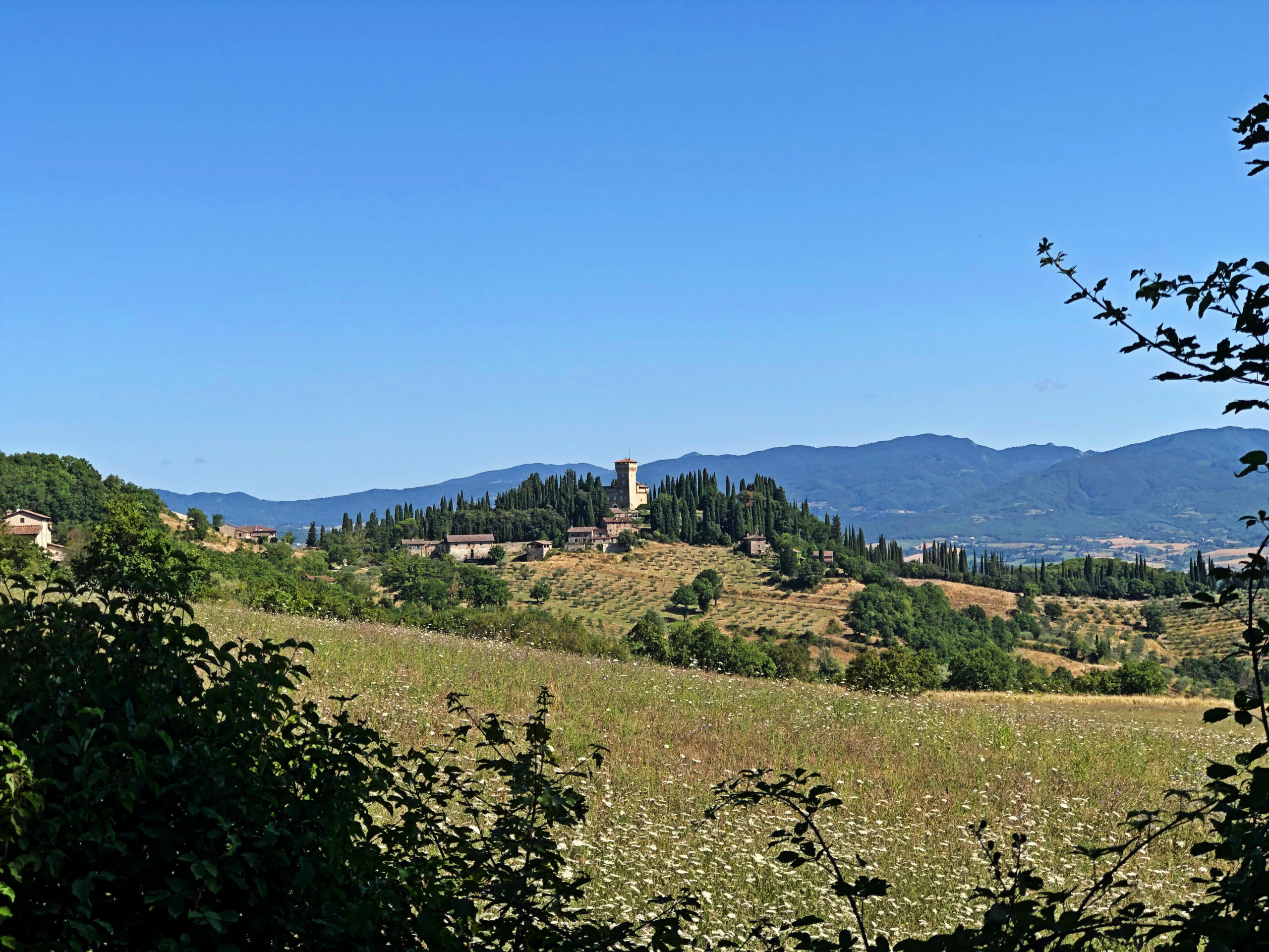 CAMMINANDO NELLE TERRE DEI MEDICISABATO 15 APRILE