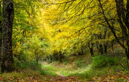 MAGIA D’AUTUNNO <br/> DOMENICA 18 OTTOBRE