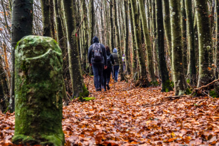 I CRINALI DEL PARCO  DOMENICA 4 GENNAIO