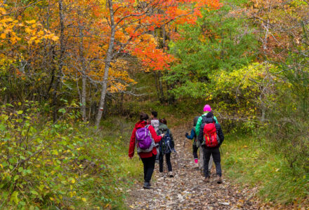 TAVOLOZZA D’AUTUNNO AL BRASIMONE <br/> SABATO 25 OTTOBRE