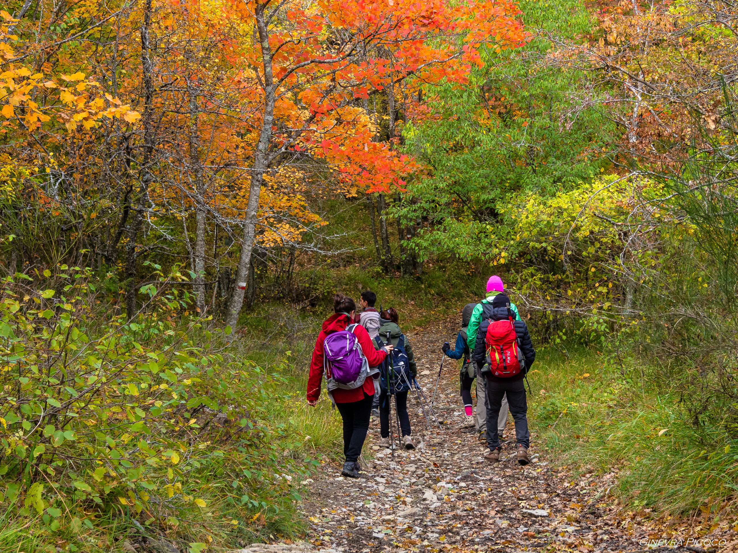 TAVOLOZZA D’AUTUNNO AL BRASIMONE  SABATO 25 OTTOBRE