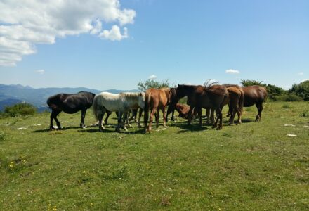 WEEKEND SULLA VIA DELLA LANA E DELLA SETA<br />DA SABATO 29 APRILE A LUNEDÌ 1 MAGGIO