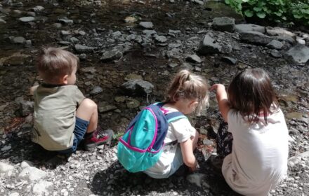 DOMENICA 14 MAGGIO <BR/> PRIME ESPERIENZE IN NATURA
