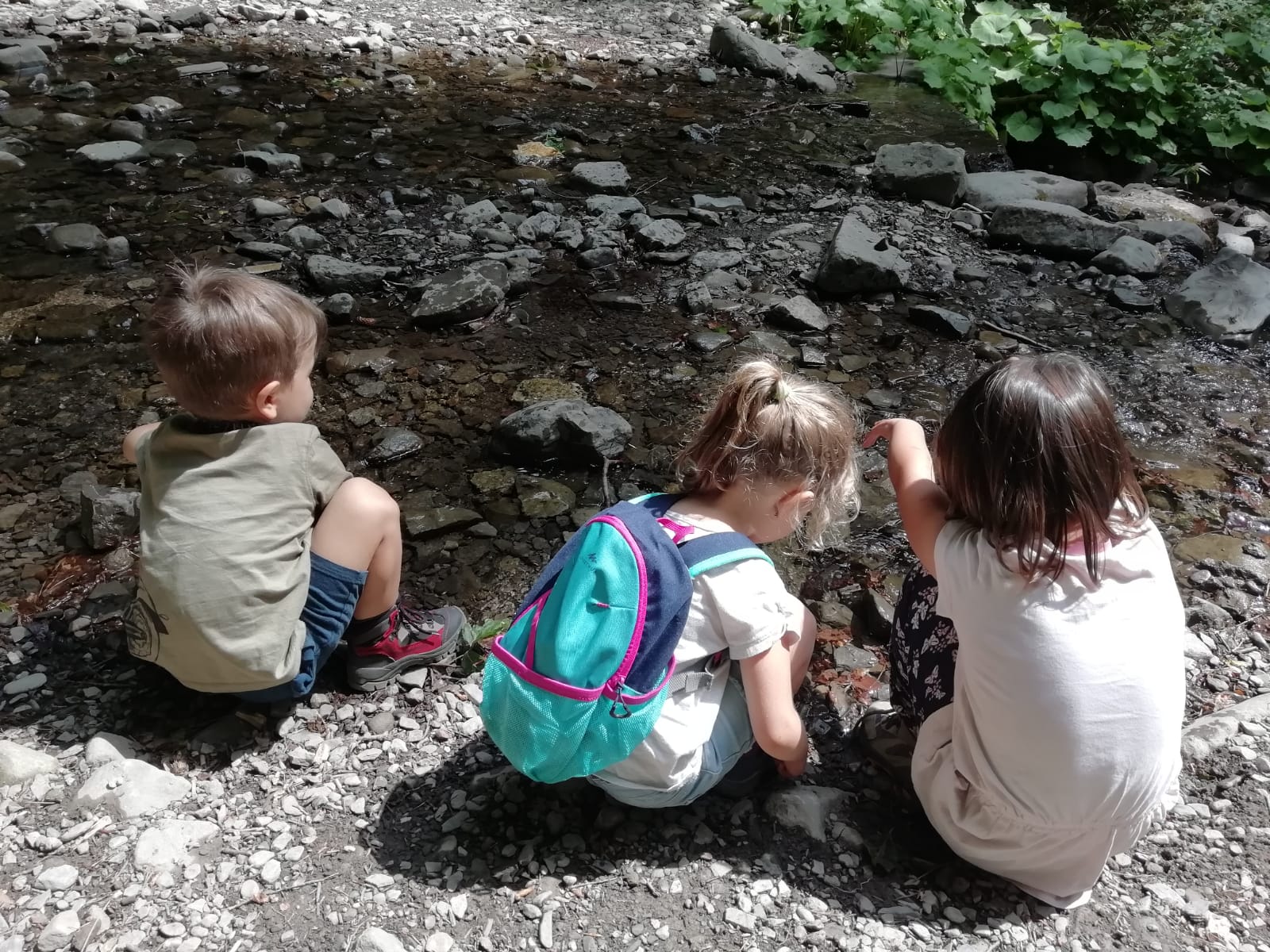 DOMENICA 14 MAGGIO  PRIME ESPERIENZE IN NATURA