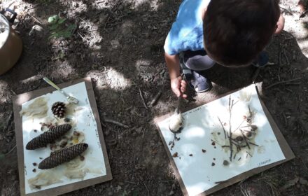 DOMENICA 23 APRILE <BR/> PRIME ESPERIENZE IN NATURA