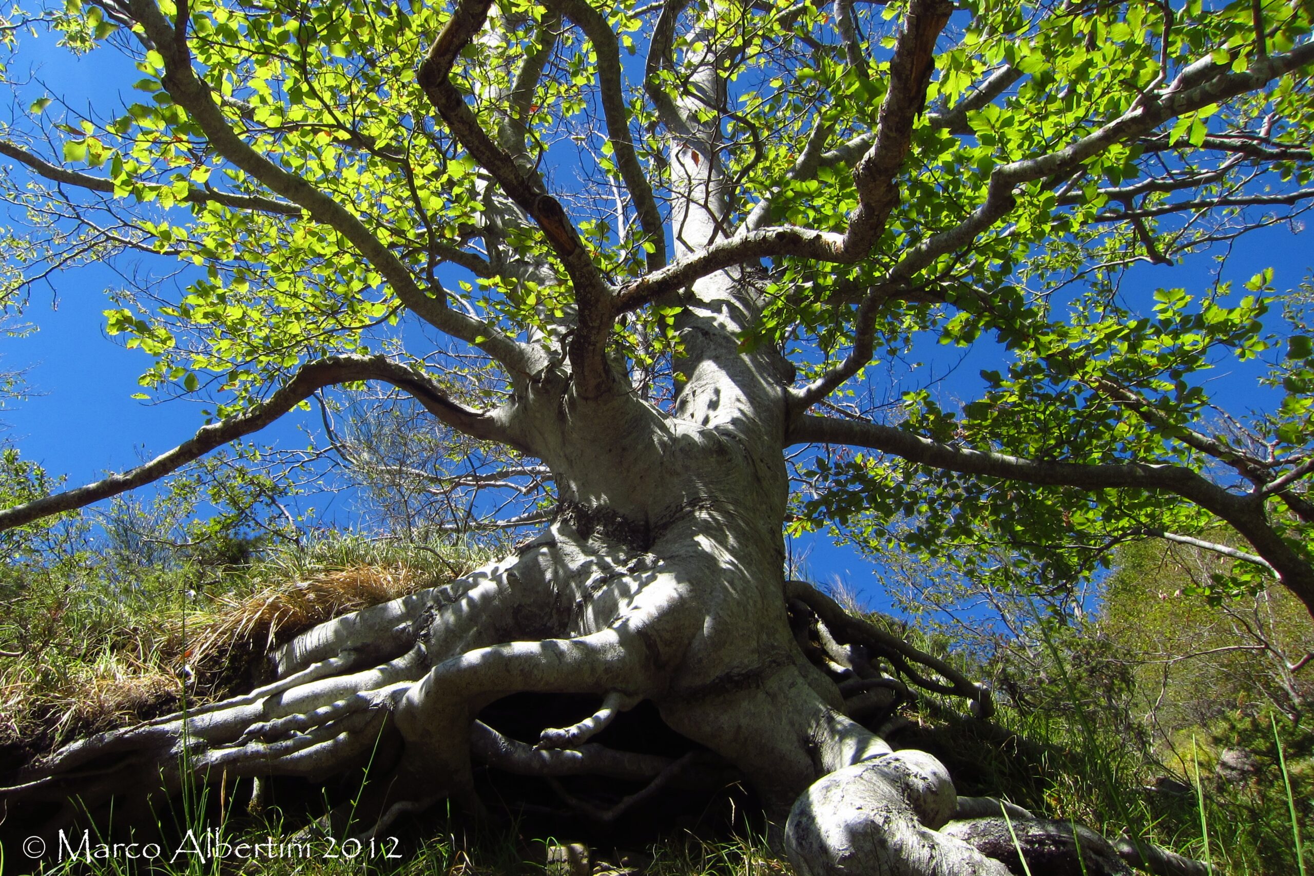 CORSO NATURALISTICO IN ESCURSIONE  SABATO 24 E DOMENICA 25 MAGGIO