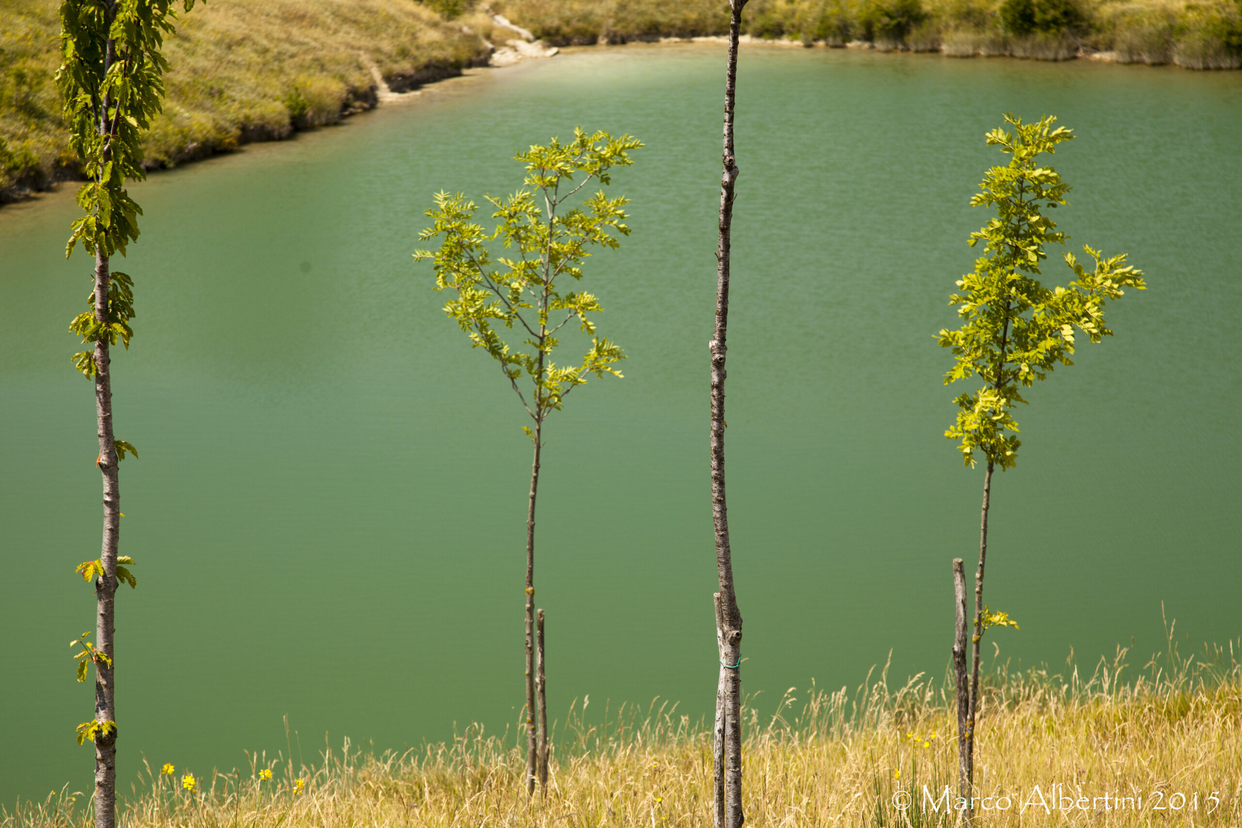 IL LAGO E IL CASTELLOMERCOLEDÌ 2 AGOSTO