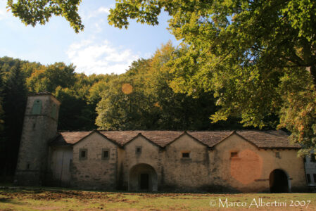 NOTE SACRE NEL BOSCODOMENICA 5 AGOSTO