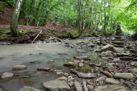 IL VIAGGIO DELL’ACQUA  DOMENICA 18 MAGGIO