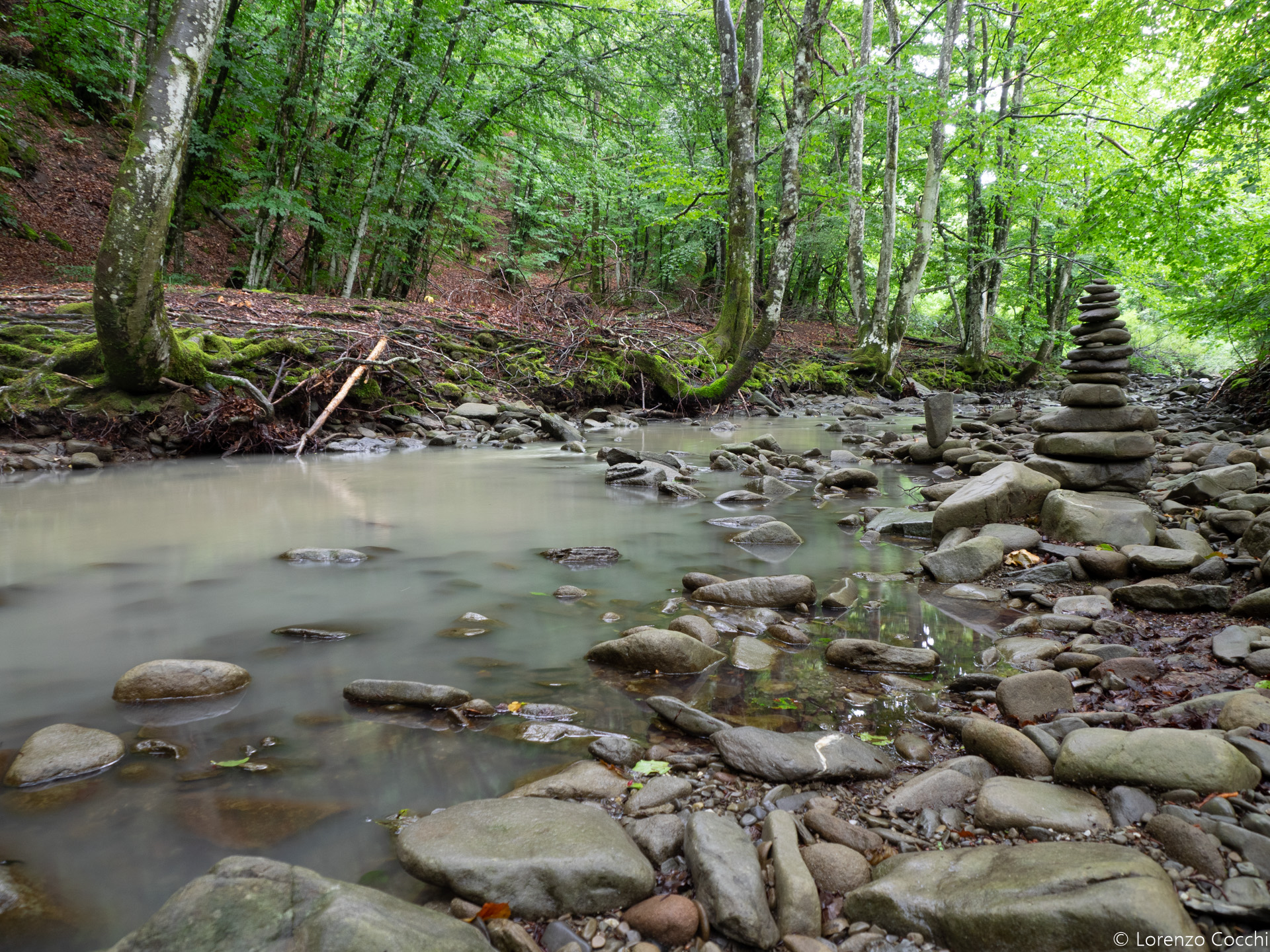 IL VIAGGIO DELL’ACQUA  DOMENICA 18 MAGGIO