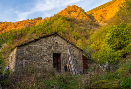 FOLIAGE AL BORGO FANTASMA DI CHIAPPORATO<br />DOMENICA 5 NOVEMBRE