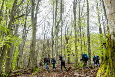 I BOSCHI DI MONTE GATTA E MONTE BAGUCCI  DOMENICA 5 MAGGIO