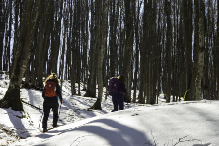 PASSI NELLA PRIMA NEVE  SABATO 29 NOVEMBRE