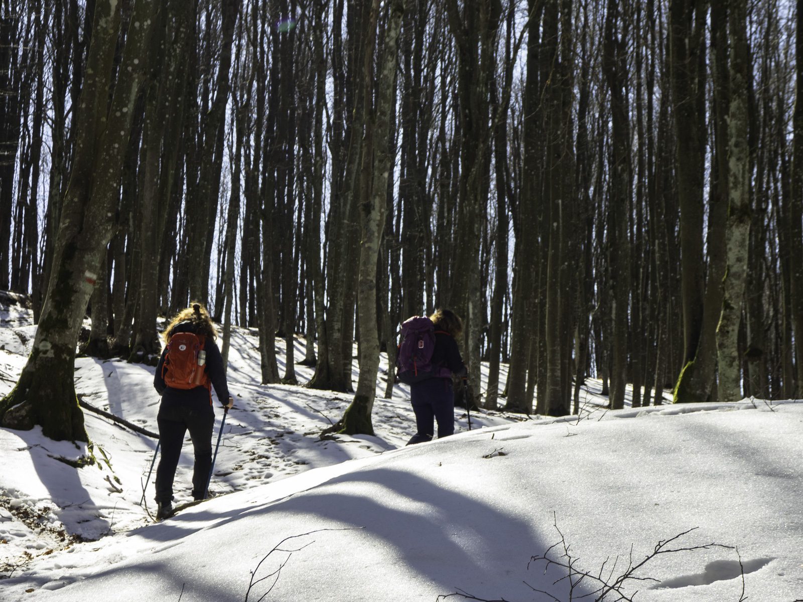 PASSI NELLA PRIMA NEVE  SABATO 29 NOVEMBRE