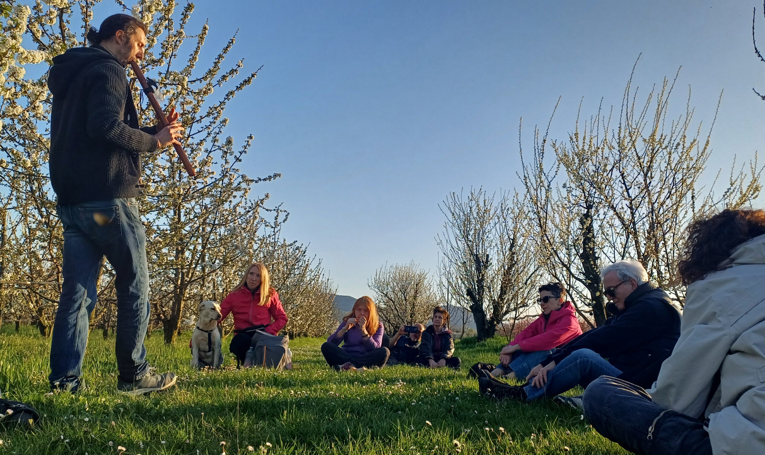 CREPUSCOLI SONORI NEL FRUTTETO FIORITO  SABATO 26 APRILE