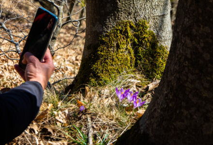 ESCURSIONE FOTOGRAFICA AL PARCO DEI LAGHI <br/> DOMENICA 4 MAGGIO